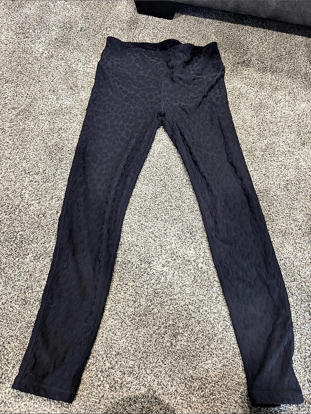 Mono B Textured Animal Print Leggings in Black Size Large
